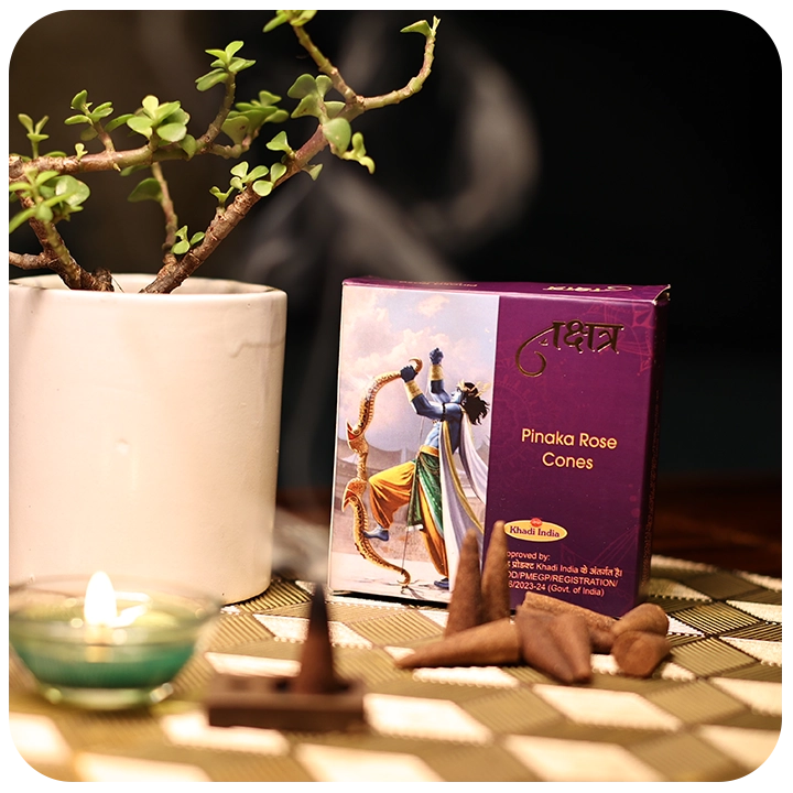 Pinaka Rose Cones- 20 cones