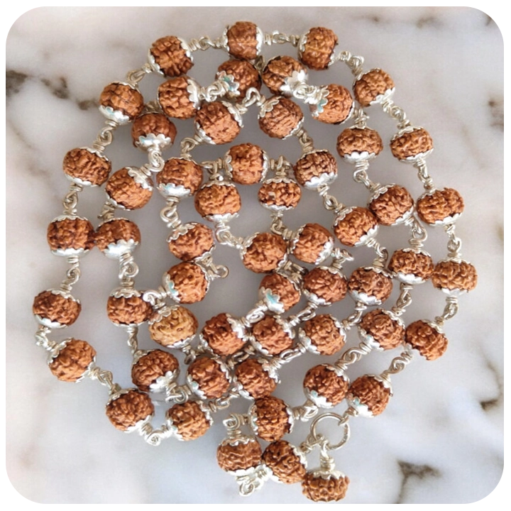 Divine Resonance Pure silver Rudraksha Mala - Certified (54 Beads)
